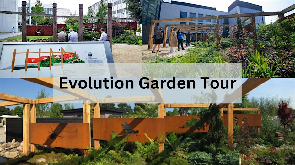 Evolution Garden Tour \n(10:00 - 10:30) - Paul McCabe SBES